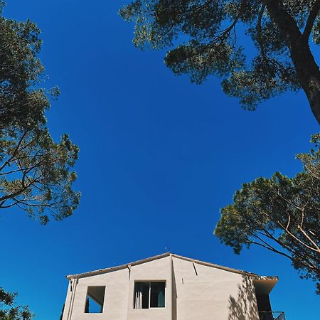 Can Romy Appartement T2F A 20M De La Plage De Cala Montgo L' Escala 外观 照片