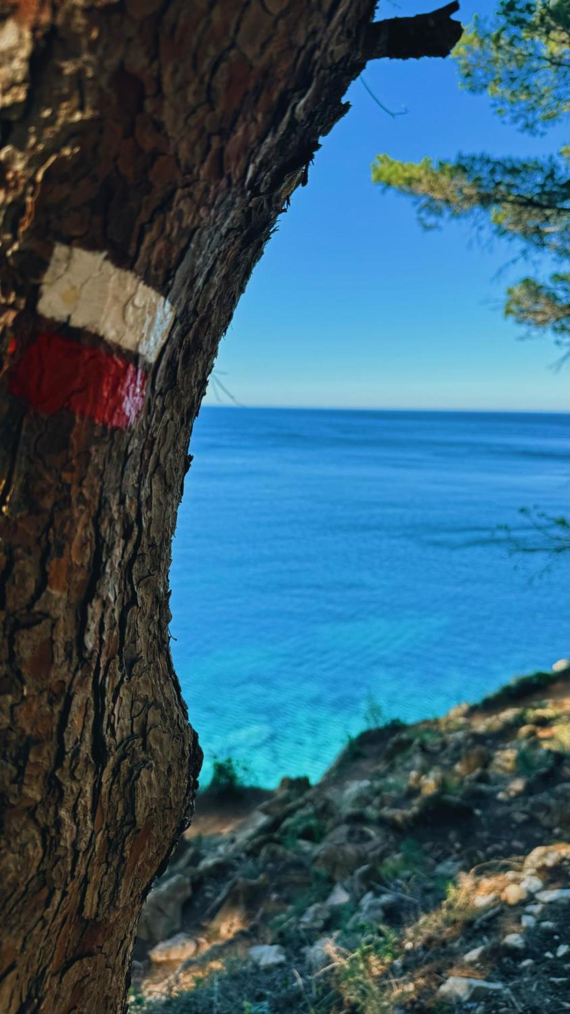 Can Romy Appartement T2F A 20M De La Plage De Cala Montgo L' Escala 外观 照片