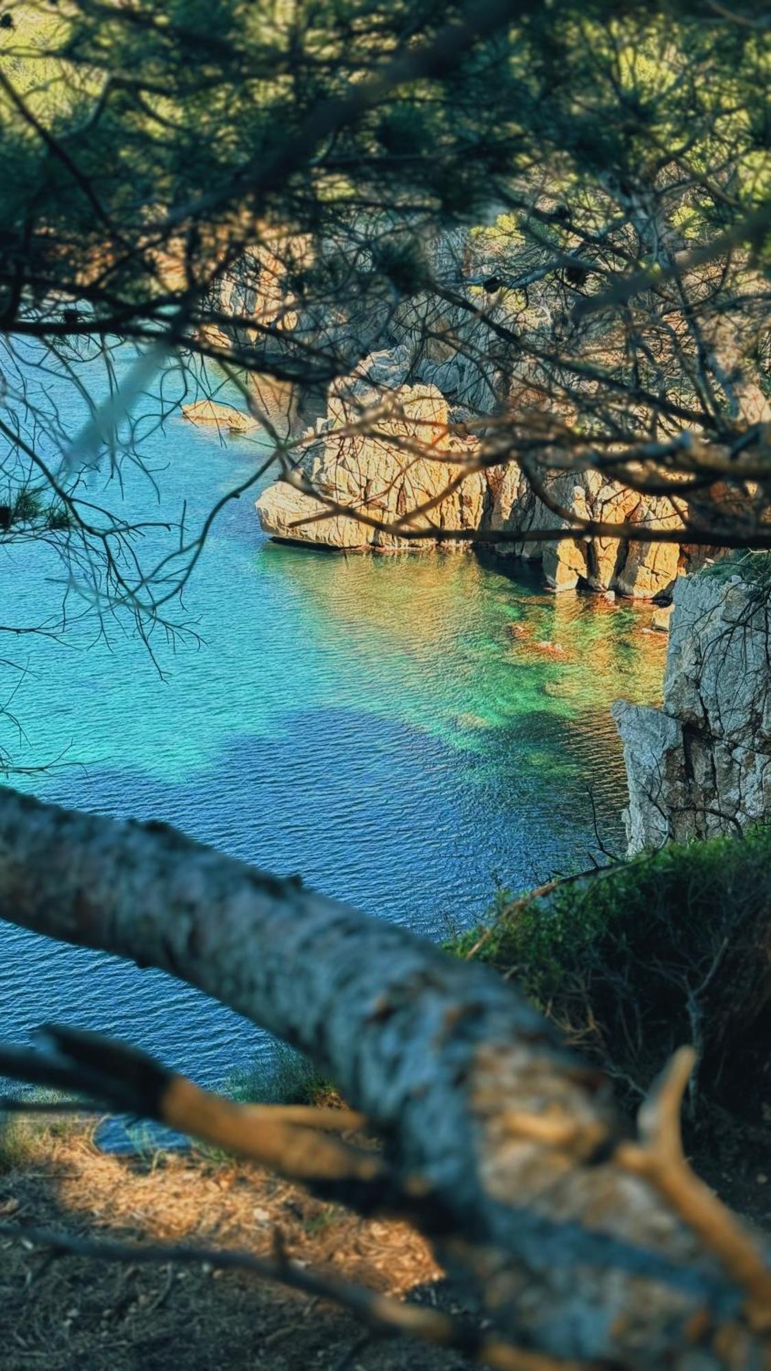 Can Romy Appartement T2F A 20M De La Plage De Cala Montgo L' Escala 外观 照片